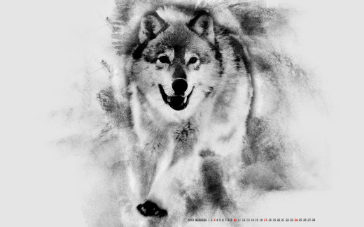 1436742 (a): :1920x1200